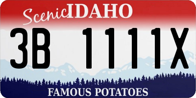 ID license plate 3B1111X