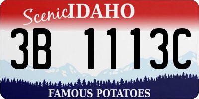 ID license plate 3B1113C