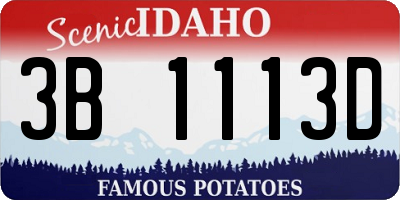 ID license plate 3B1113D
