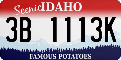 ID license plate 3B1113K