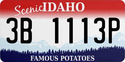 ID license plate 3B1113P