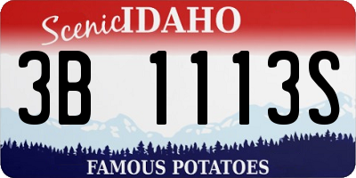 ID license plate 3B1113S