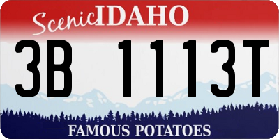 ID license plate 3B1113T
