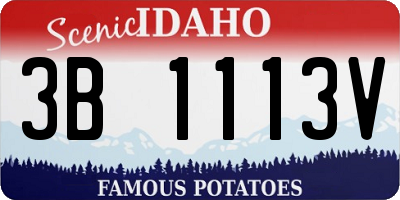ID license plate 3B1113V