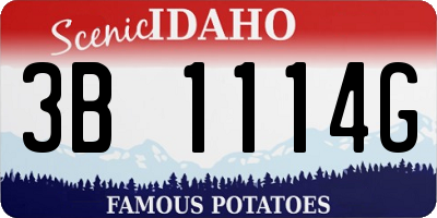 ID license plate 3B1114G