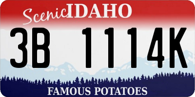 ID license plate 3B1114K