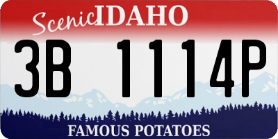 ID license plate 3B1114P