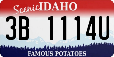 ID license plate 3B1114U