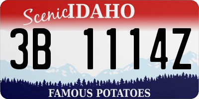ID license plate 3B1114Z