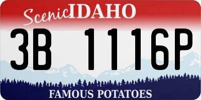ID license plate 3B1116P
