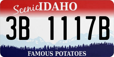 ID license plate 3B1117B