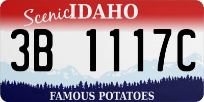 ID license plate 3B1117C