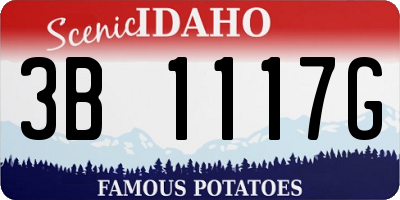 ID license plate 3B1117G