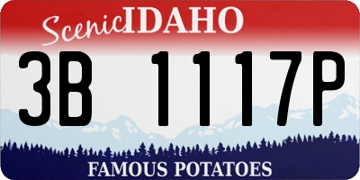 ID license plate 3B1117P