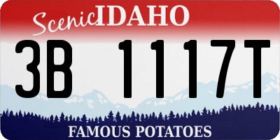 ID license plate 3B1117T