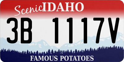 ID license plate 3B1117V