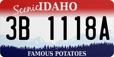 ID license plate 3B1118A