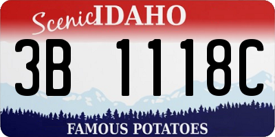 ID license plate 3B1118C