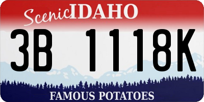 ID license plate 3B1118K