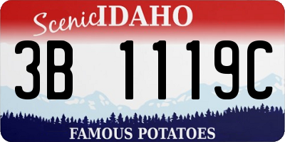 ID license plate 3B1119C