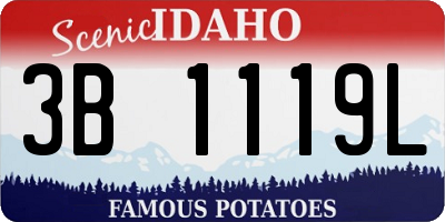 ID license plate 3B1119L