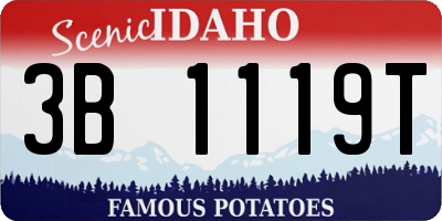 ID license plate 3B1119T