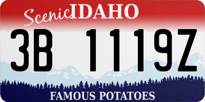 ID license plate 3B1119Z