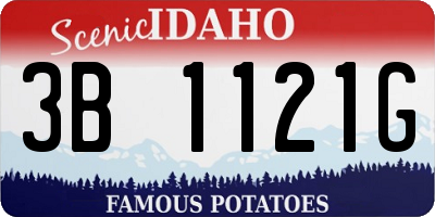 ID license plate 3B1121G