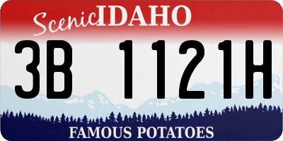 ID license plate 3B1121H