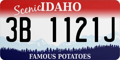 ID license plate 3B1121J
