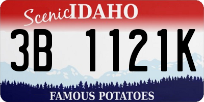 ID license plate 3B1121K