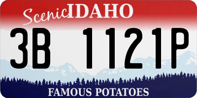 ID license plate 3B1121P