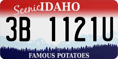 ID license plate 3B1121U
