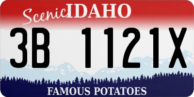 ID license plate 3B1121X