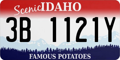 ID license plate 3B1121Y