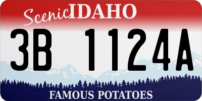 ID license plate 3B1124A