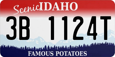 ID license plate 3B1124T