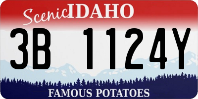 ID license plate 3B1124Y