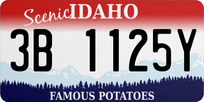 ID license plate 3B1125Y