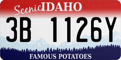 ID license plate 3B1126Y