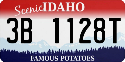 ID license plate 3B1128T