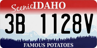 ID license plate 3B1128V