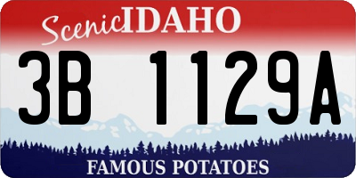 ID license plate 3B1129A