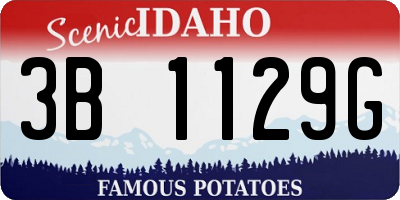 ID license plate 3B1129G