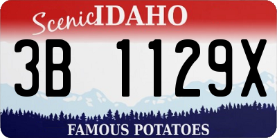 ID license plate 3B1129X