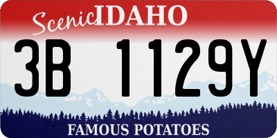 ID license plate 3B1129Y