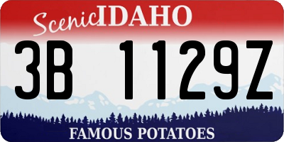 ID license plate 3B1129Z