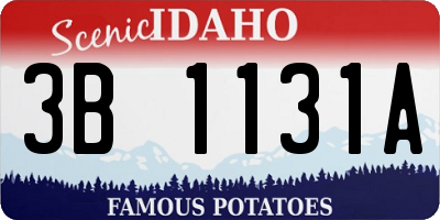 ID license plate 3B1131A