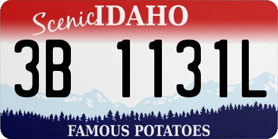 ID license plate 3B1131L