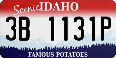 ID license plate 3B1131P